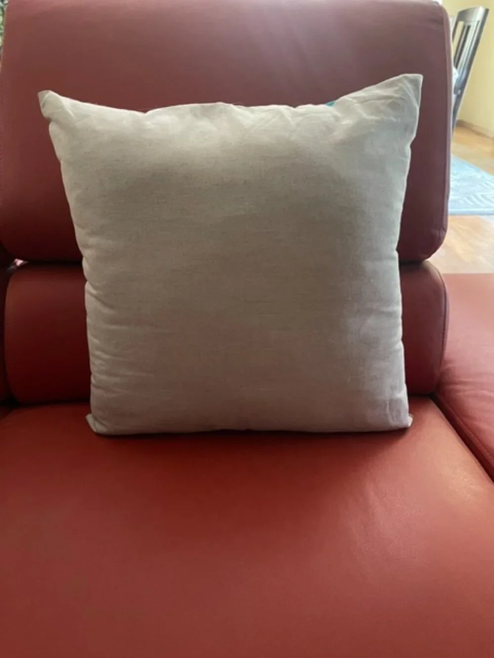 West Elm Decorative Indoor Cushions size 19